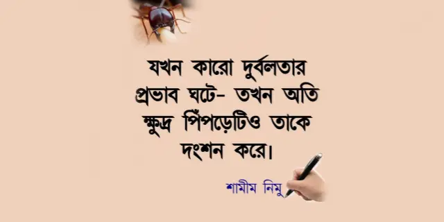 দুর্বলতার প্রভাব