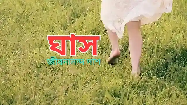 ঘাস